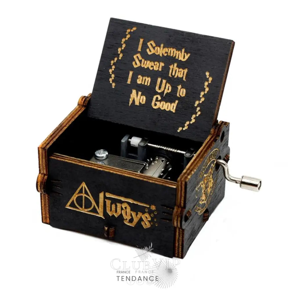 Boîtes à Musique En Bois Naturel | Cinéma Mangas Jeux Vidéos