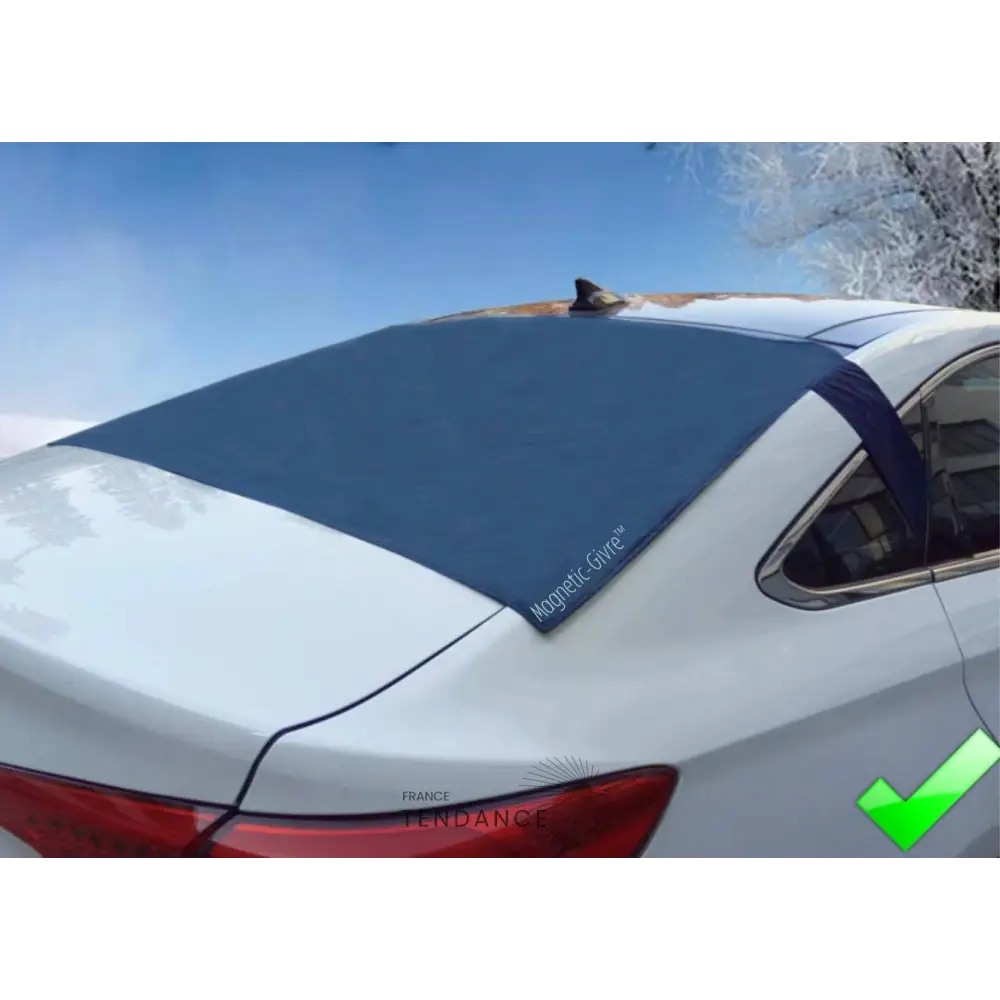 Magnetic-givre™ Vitre Arrière (hayon Ou Coffre) |