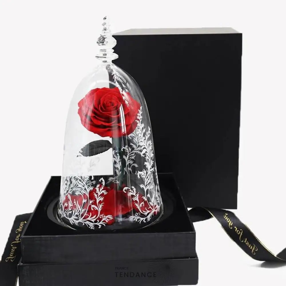Rose éternelle Sous Cloche & En Boîte La Belle Et Bête Rouge