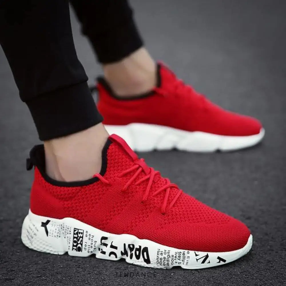 Baskets Casual Jacobs | France-Tendance