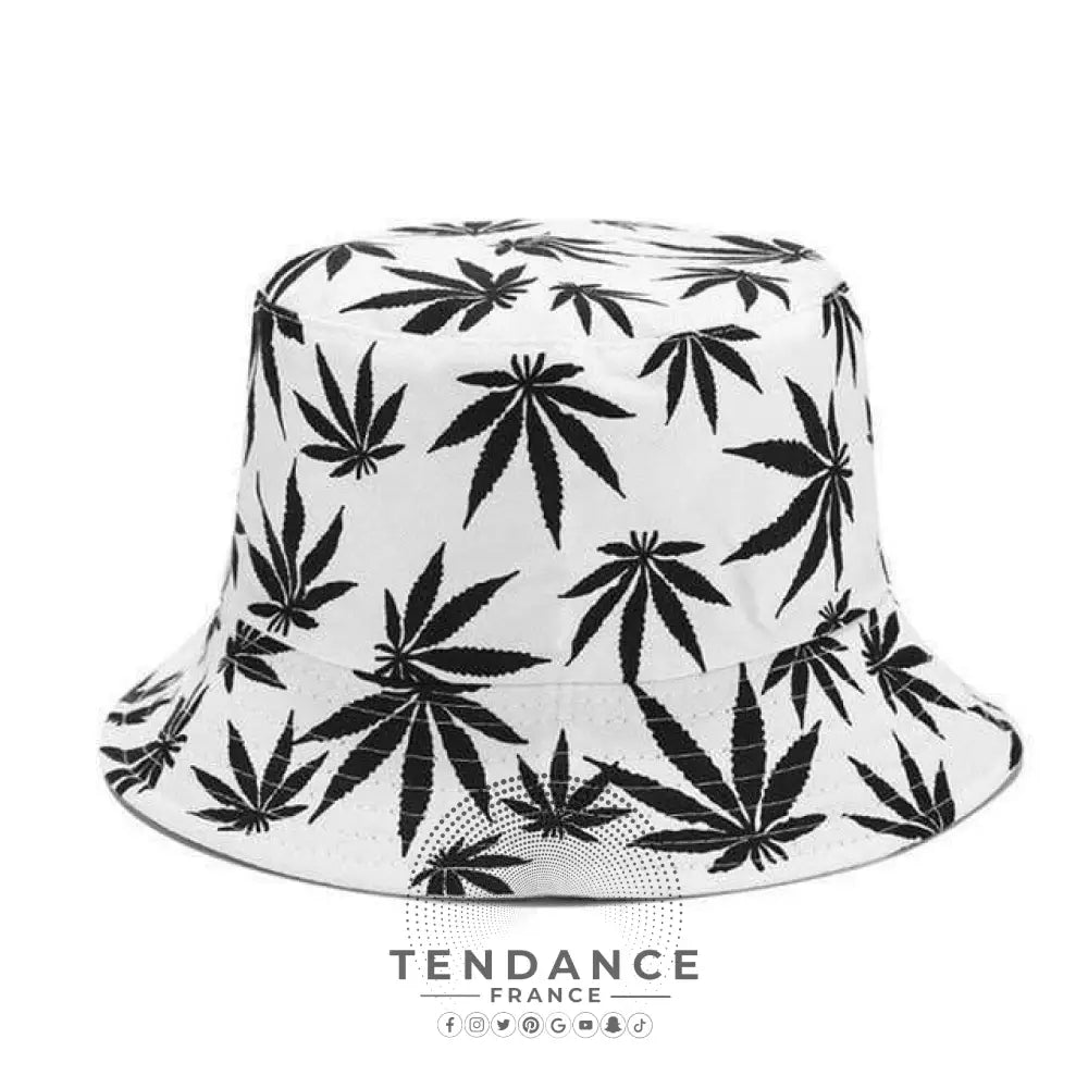Bob Weed | France-Tendance