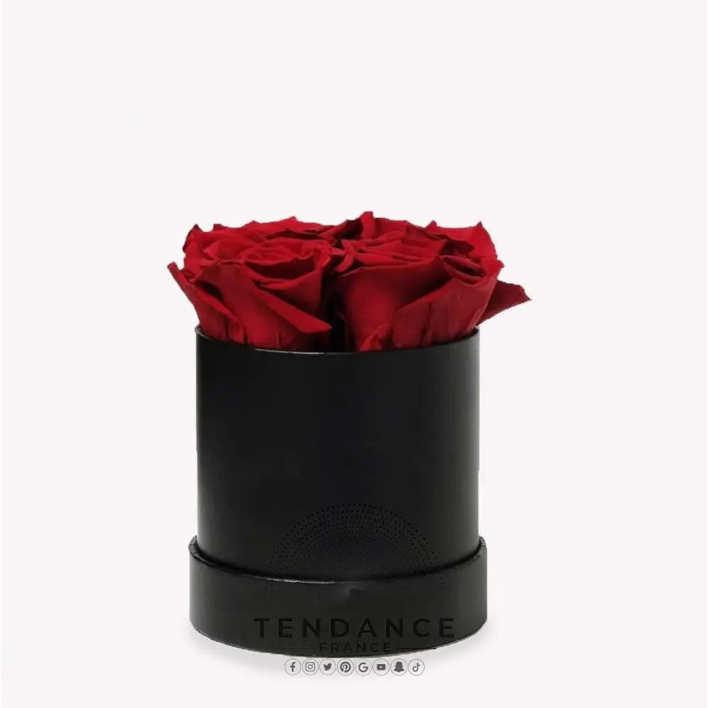 Bouquet 4 Roses éternelles Rouges | France-Tendance