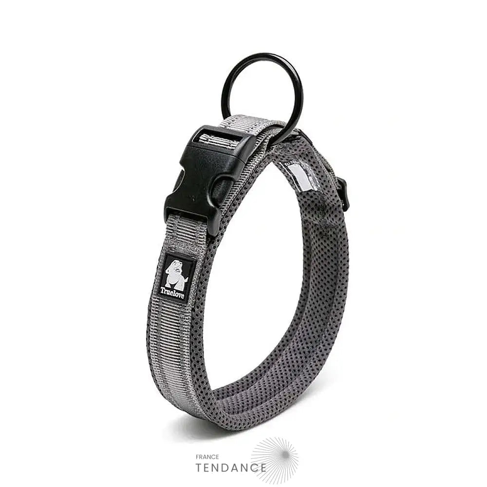 Collier Lumineux Réfléchissant Pour Chien | France-Tendance