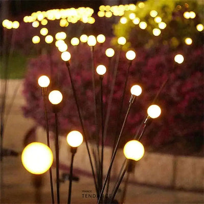 Lampes Led Lucioles À Énergie Solaire