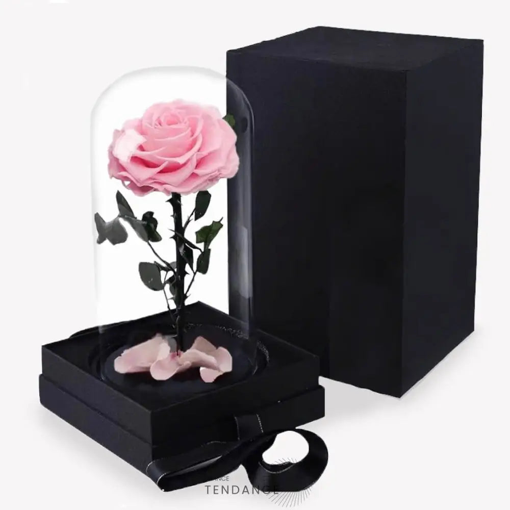Rose éternelle En Boîte | France-Tendance