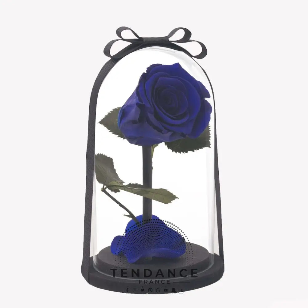 Rose éternelle Bleue | France-Tendance