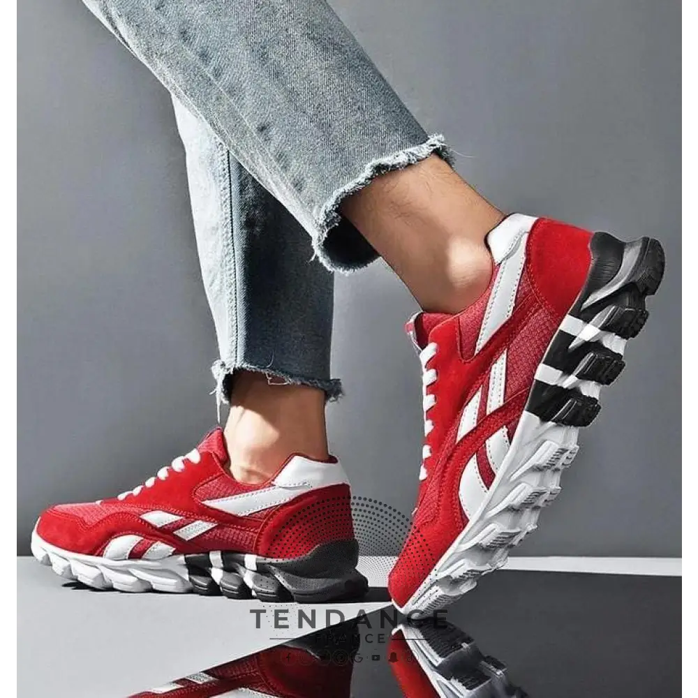 Sneakers Britain | France-Tendance