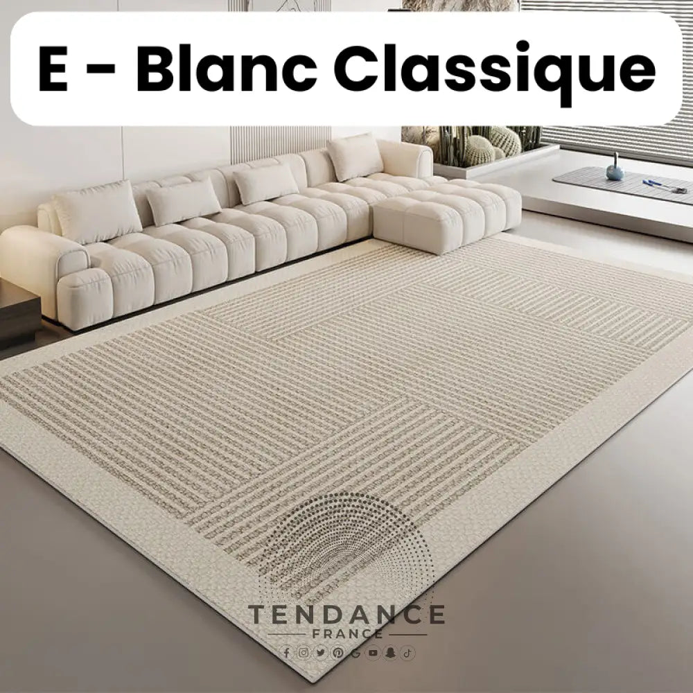 Tapis Magique Intachable | Incroyable Mais Vrai! E - Blanc Classique / Paillasson (0.4X0.6M) Salon