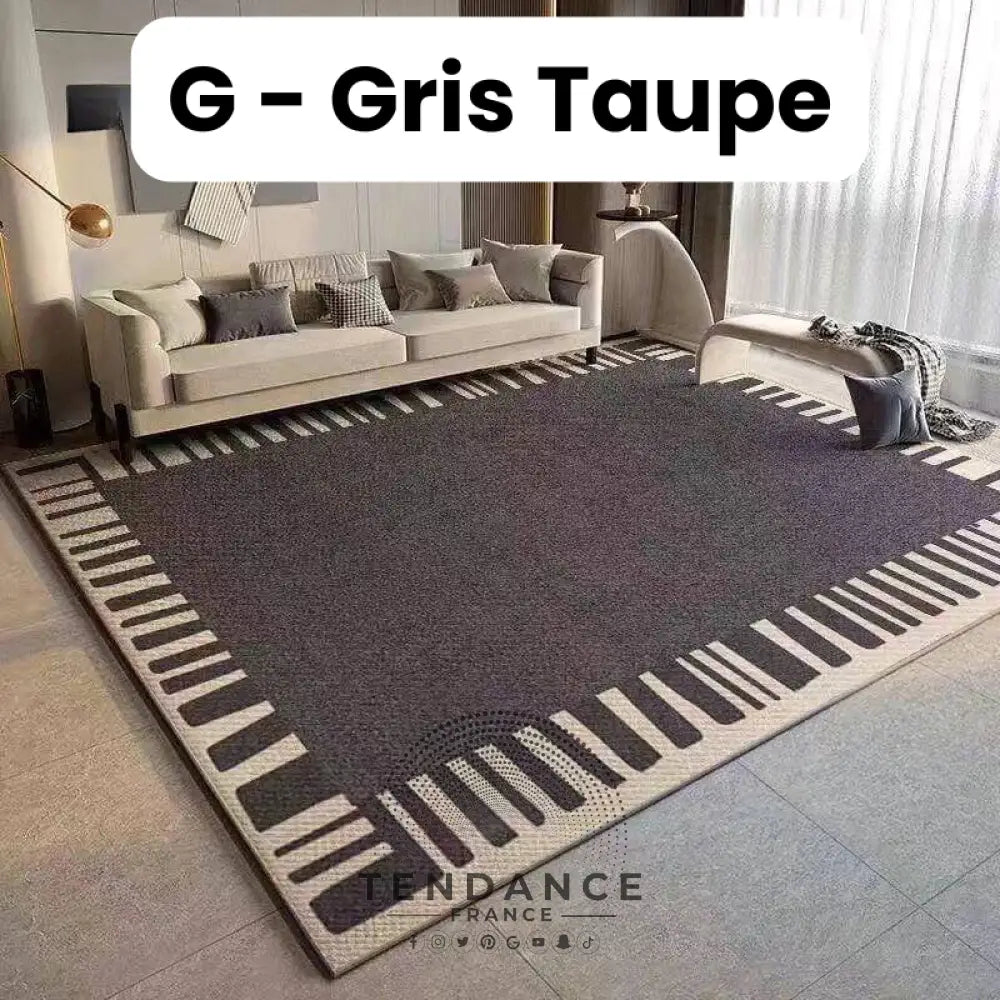 Tapis Magique Intachable | Incroyable Mais Vrai! G - Gris Taupe / Paillasson (0.4X0.6M) Salon